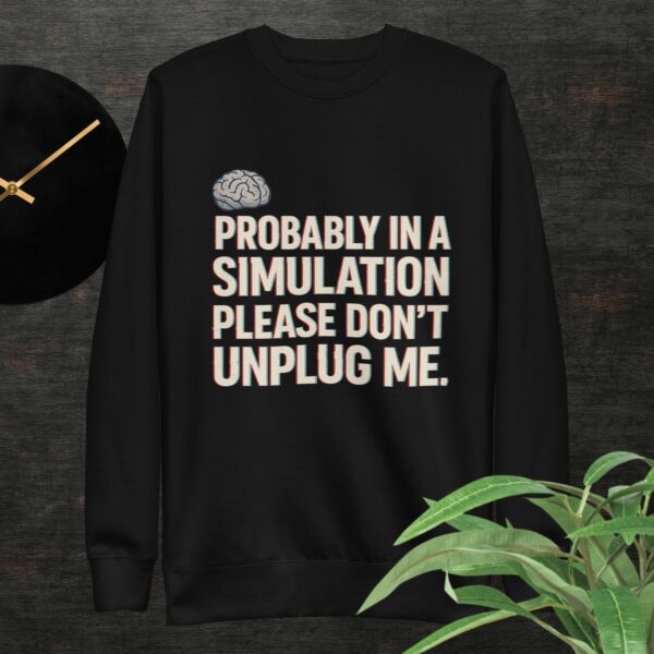 Probably in a Simulation Sweatshirt – Minimalist Geek Streetwear